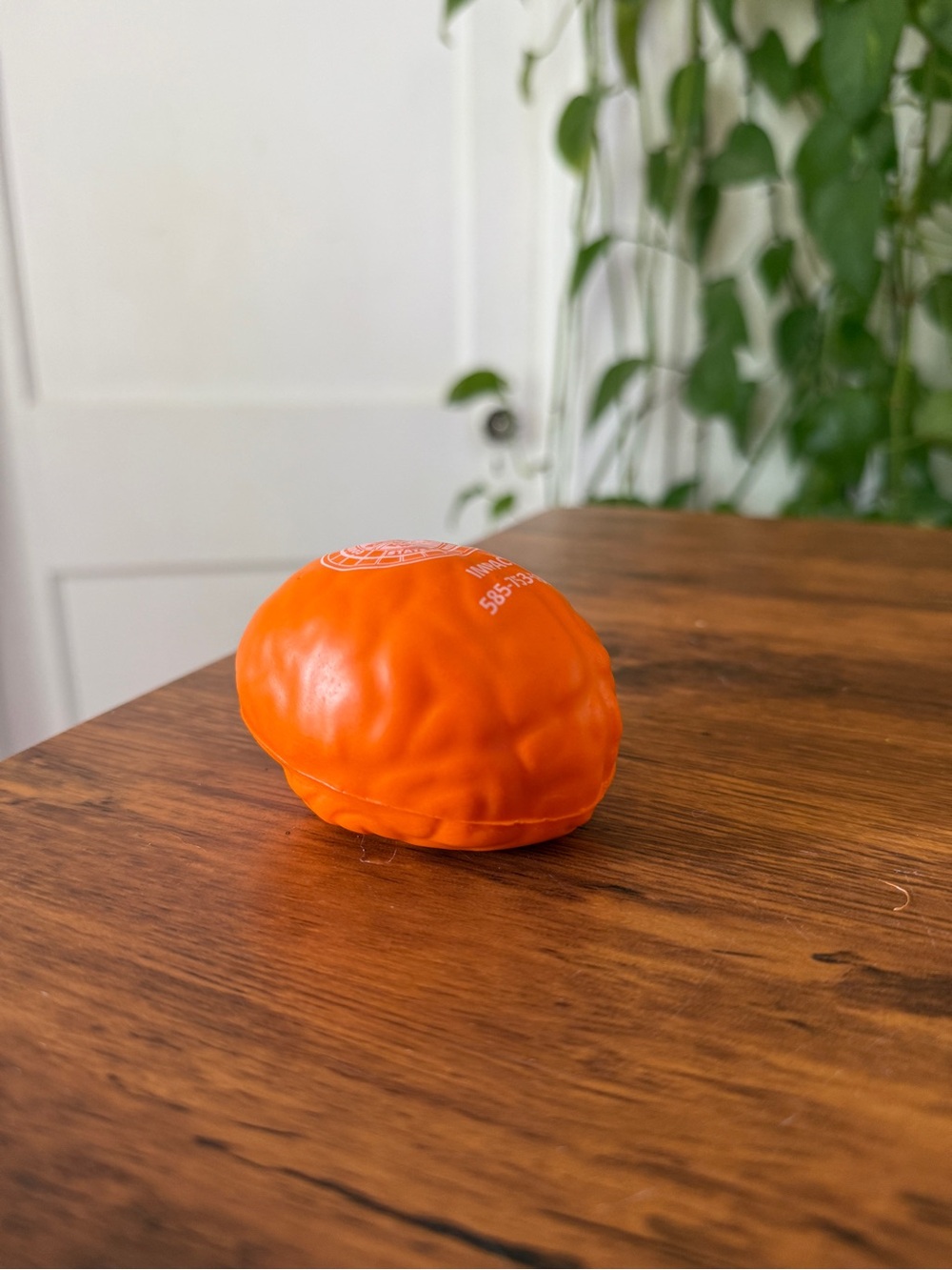 Monroe NY Bright Orange Promotional Stress Toy with County Seal Brain